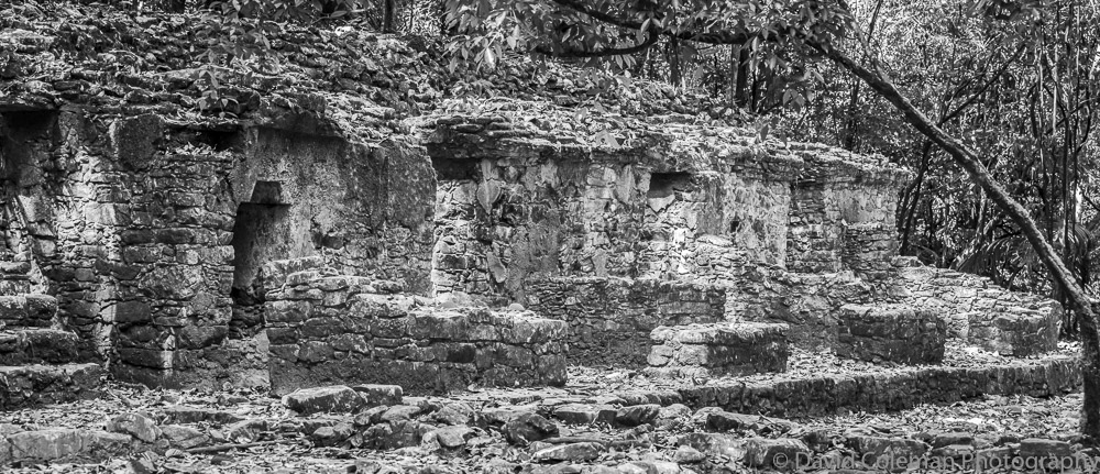 PALENQUE EXPERIENCE