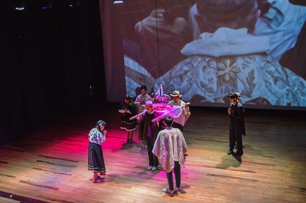 Fractales gata muykyta teatro obras de iza y firavitoba en el teatro sogamoso 9