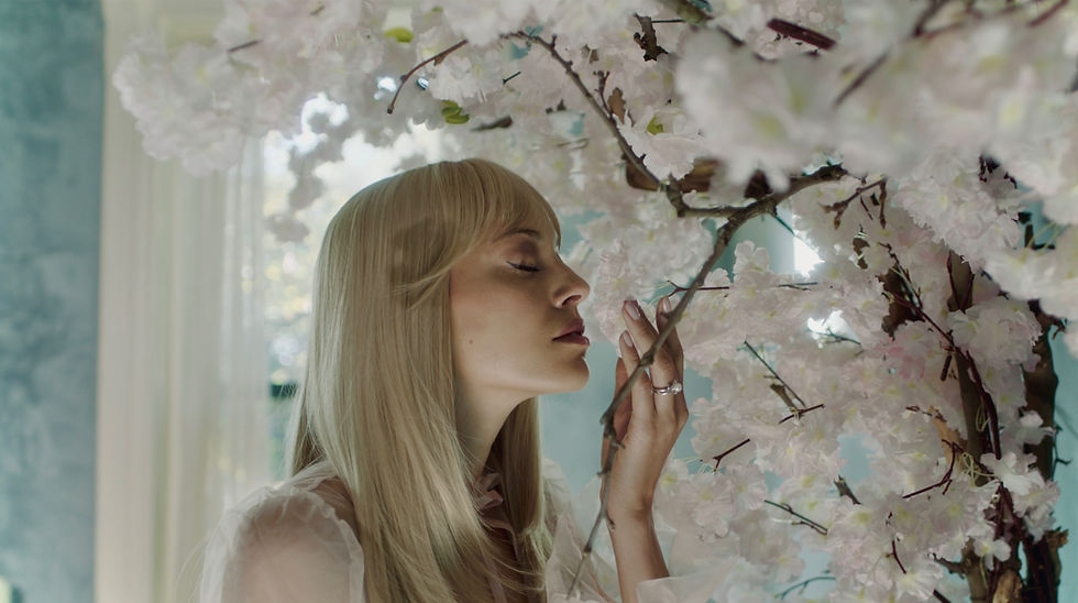 Screenshot 2024-10-27 at 21.34_edited.jpg