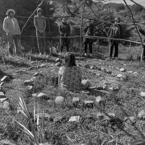 When the Group Becomes the Leader