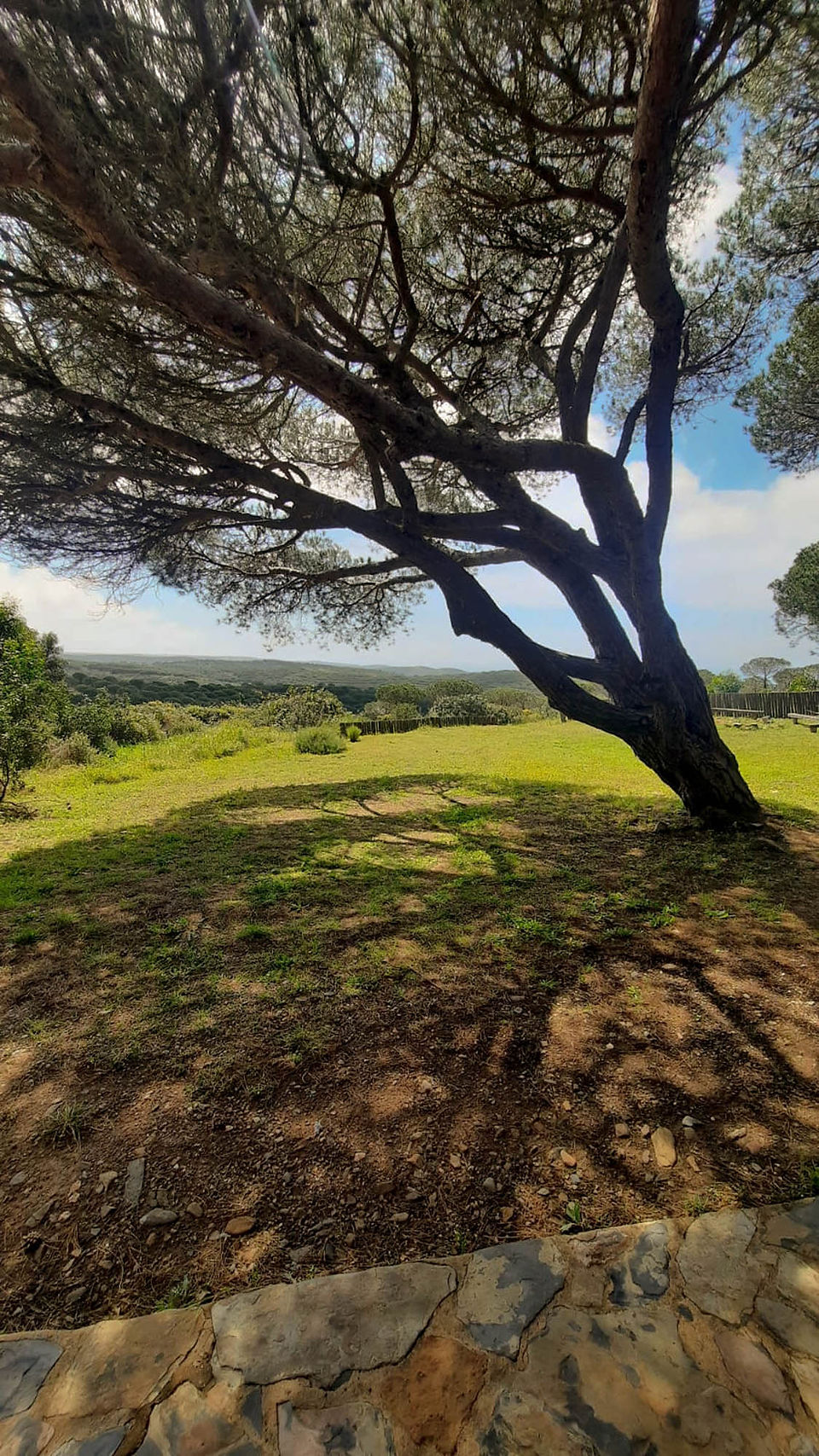 Retreat Portugal 2024 NATURE