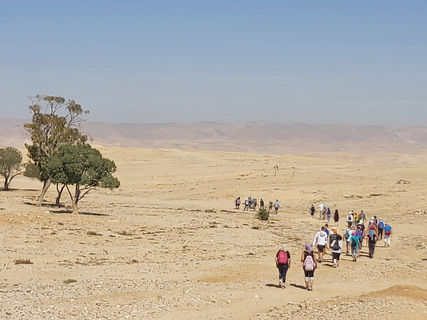 במדבר- נביעה של חוויות, הדרכות וסיורים