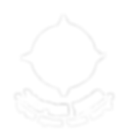 לוגו - מסע הגיבור