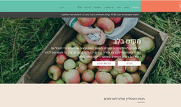 "הירוקה" עיצוב, מיתוג ובניית חווית משתמש לאתר "הירוקה"- אתר...