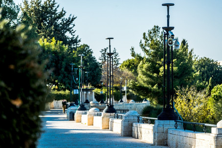 Light poles with cameras and a canopy on the promenade, next to trees and vegetation on a bright day