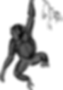 Unbenannt-1.png
