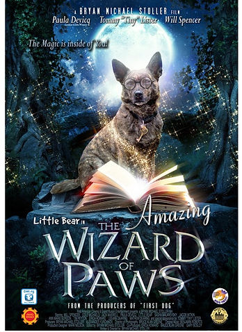 wizard of paws poster