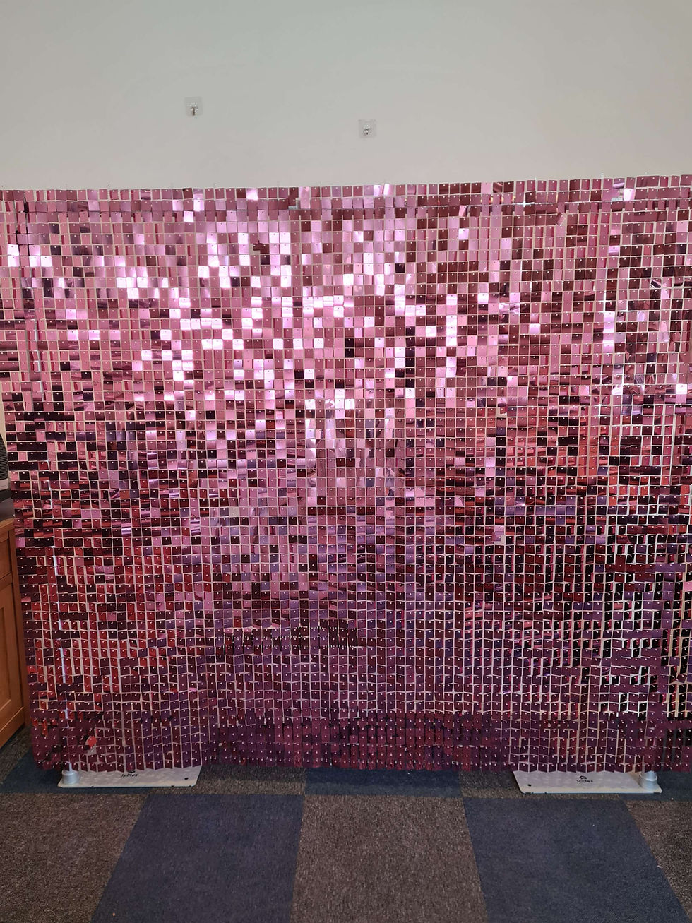Raspberry Sequins Shop collections | TheSequinWallCompany