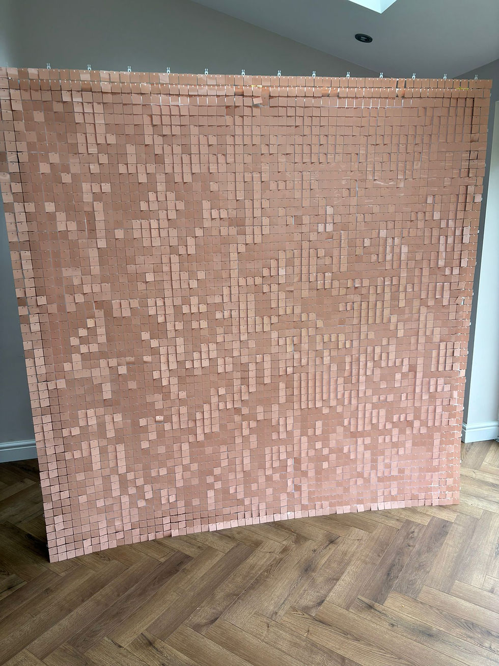 Thumbnail: Peach Sequin Wall - BIG SEQUINS (64 per panel)