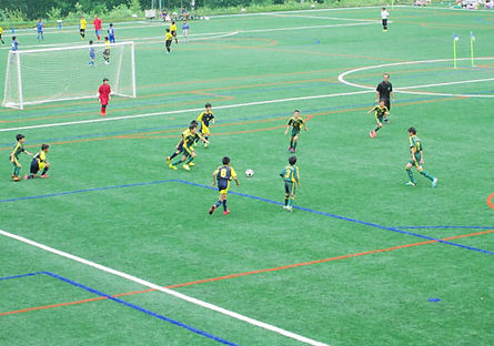 星槎レイクアリーナ箱根 多目的グラウンド