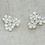 Thumbnail: Bouquet Earrings Silver