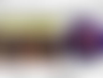 Review of ECR Phantom #87, #88, #89 and #90