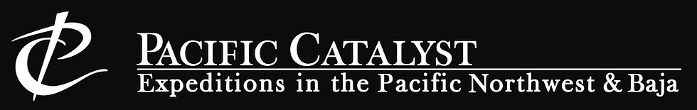 PACIFIC CATALYST-02.jpg