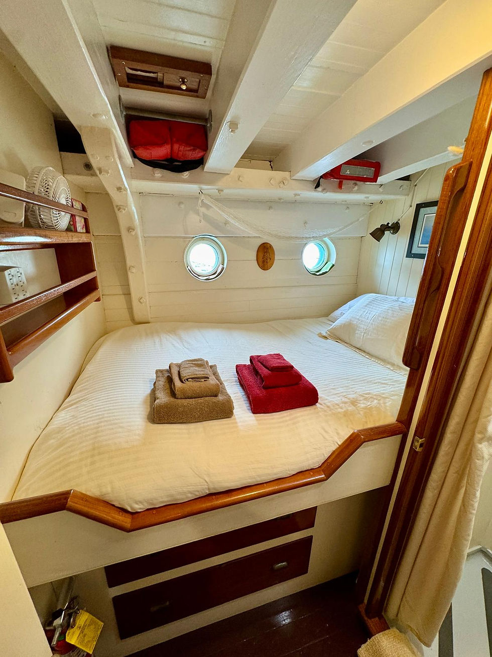 Catalyst Cabin 2