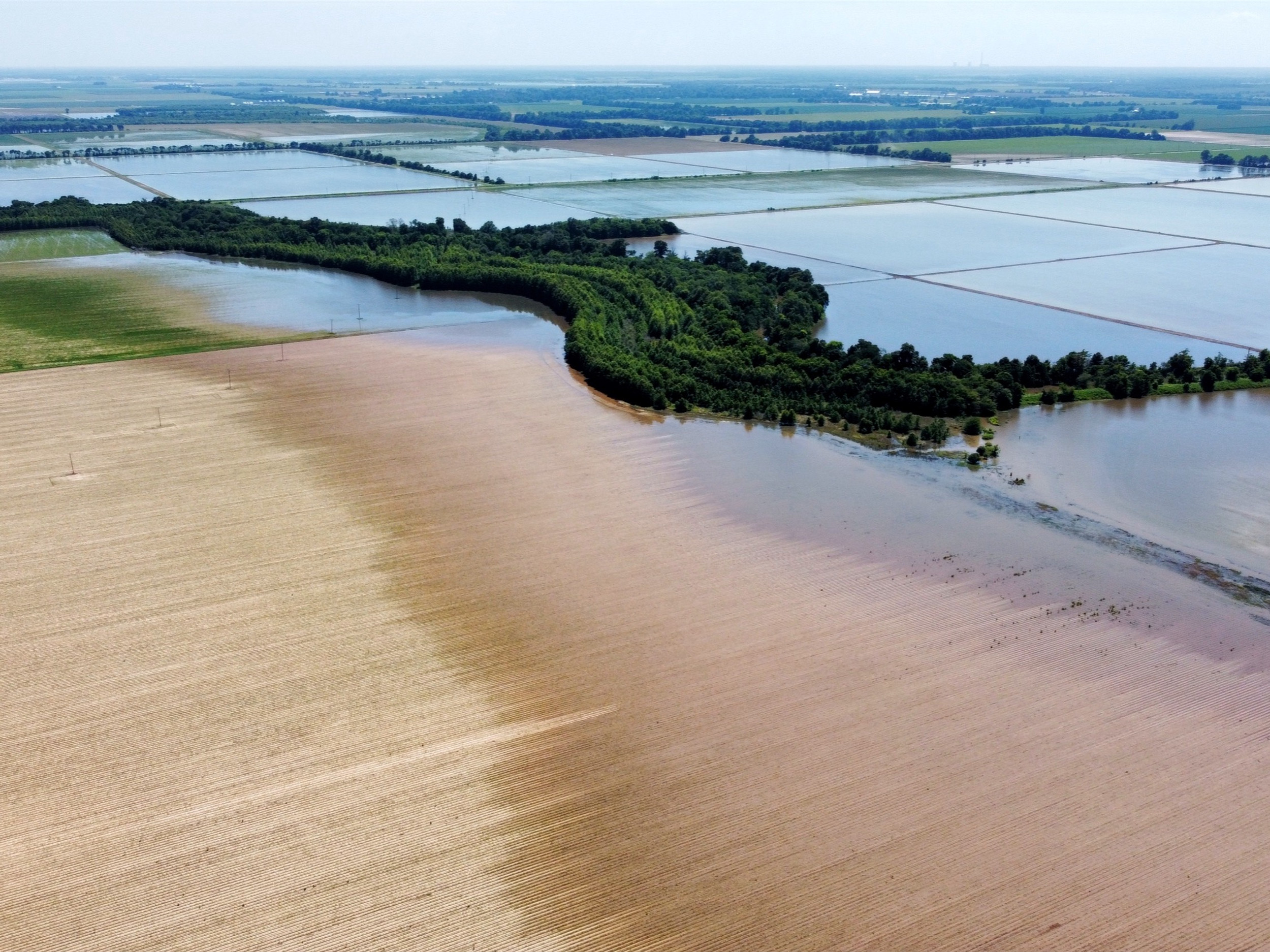 Indian Bayou Farmland and Duck Hunting Holmes Real Estate