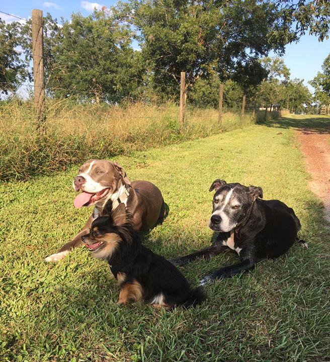 Finn, Leon & attitude