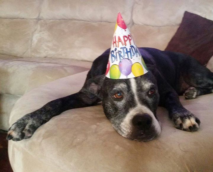 Jasmine's 11th birthday