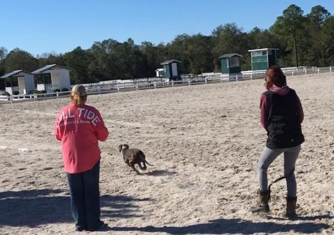 CAT Gulfport 10/17