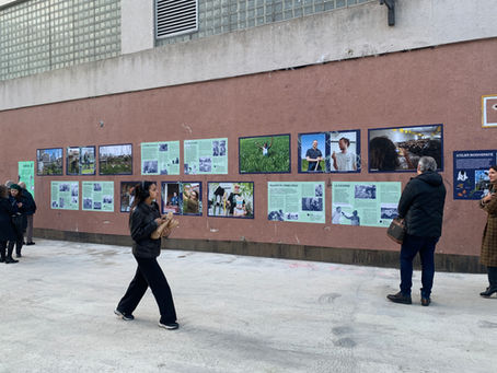 Scenographie exposition Alimage