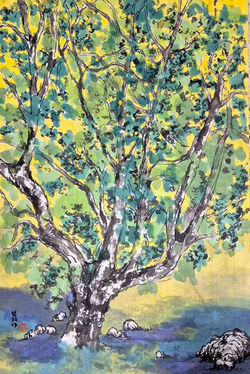 The Radiant Grove