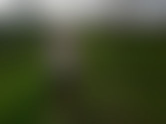 Immerse Yourself in Nongan Village: Trekking & Cycling Experiences