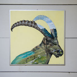 Animalia 5
