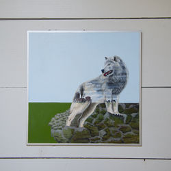 Animalia 1