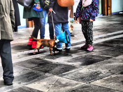 Drama Baby_original-8