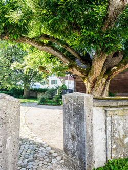 Kunstweg Lotzwil 2019_BO-16