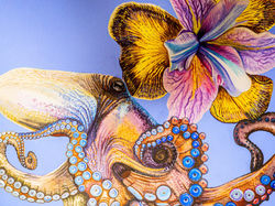 bellis et animal - Krake Detail