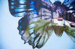 Animalia 4 Detail
