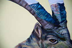 Animalia 5 Detail