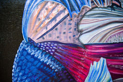 Kampffische Detail 3