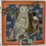 Eule