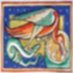 Ibis