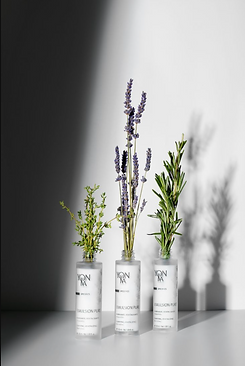 Screenshot 2023-07-30 at 2.11.27 PM.png