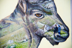 Animalia 5 Detail