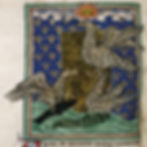 Adler