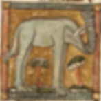 Elefant