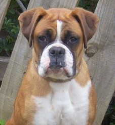 ~ ROXY ~
