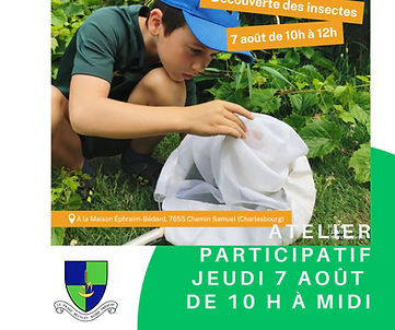 Invitation atelier insectes.jpg