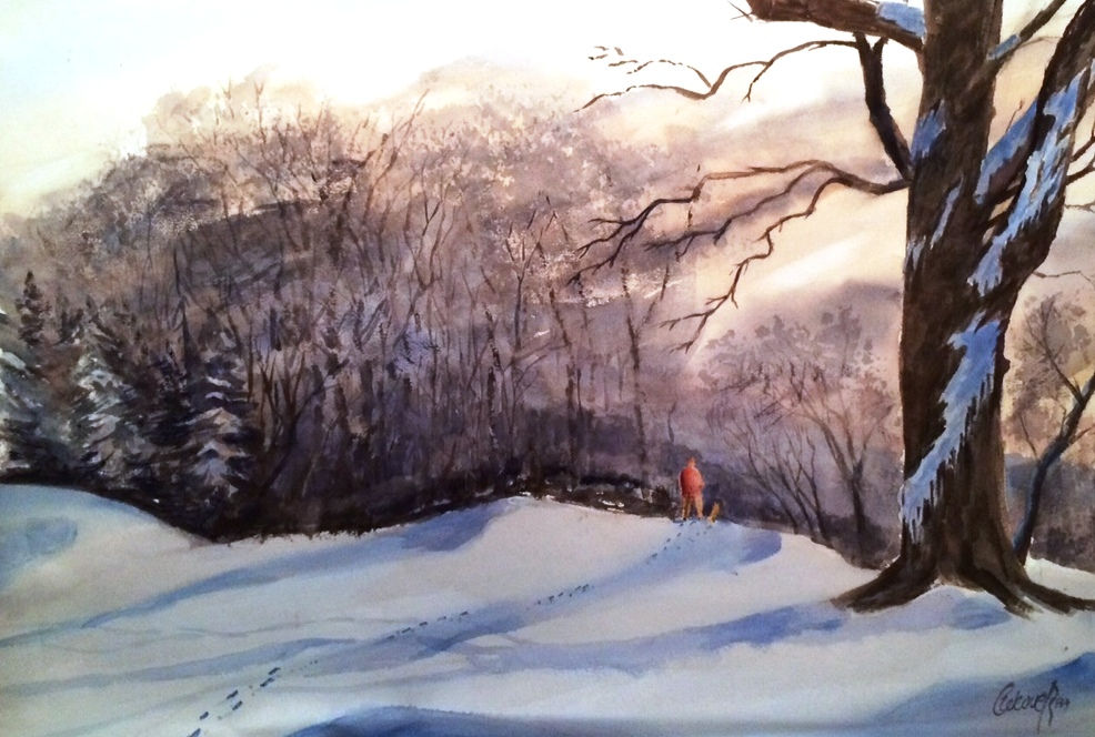 Snow Walk- Caminhada na Neve