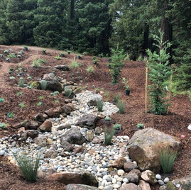 HABITAT CREATION & RESTORATION