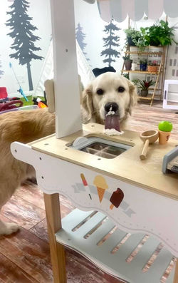 157199892_120156886783618_42052328288110