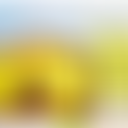 20 de marzo "Día Internacional de la Felicidad"