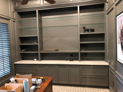 Custom Bookshelf in Study