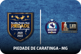 Piedade de Caratinga - MG.png