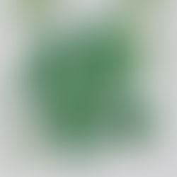Produdos de cosméticos de embalagem verde.