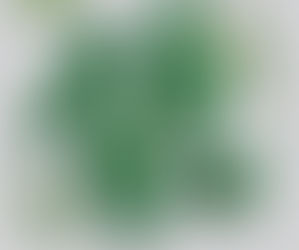Produdos de cosméticos de embalagem verde.
