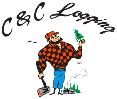 c&c-web.webp